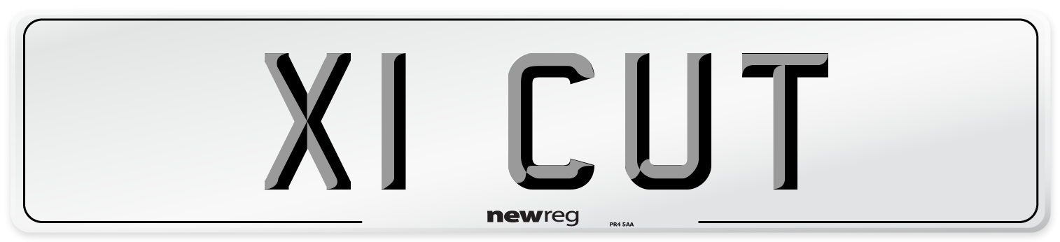 X1 CUT Number Plate from New Reg